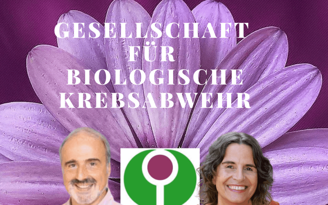 Wer ist die GfBK?