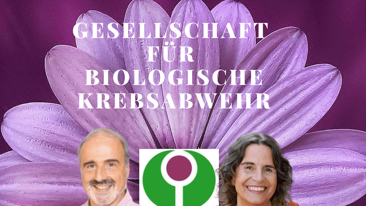Wer ist die GfBK?