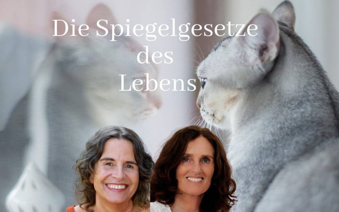 Spiegelgesetze des Lebens