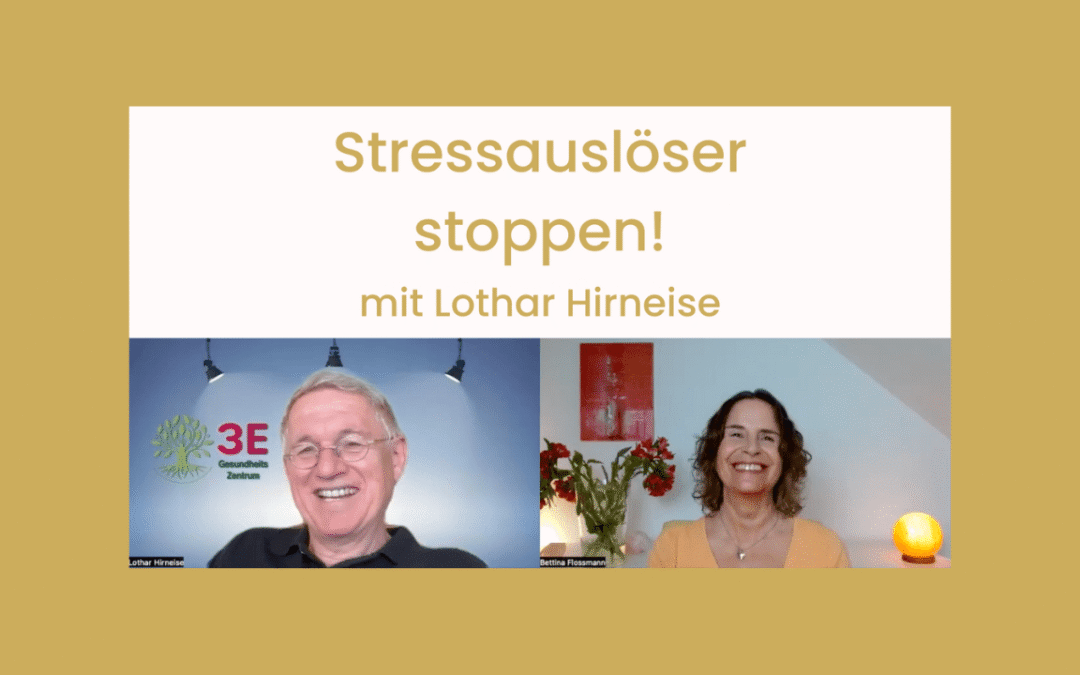 Lothar Hirneise: Stressauslöser stoppen!