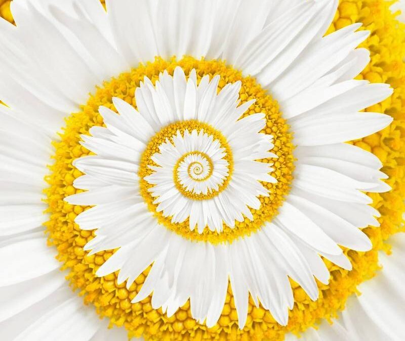 Selbstheilung – was bedeutet das für mich?