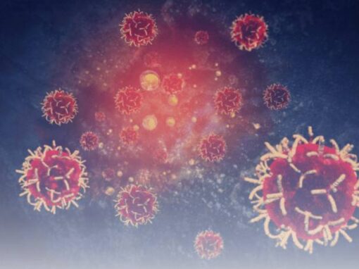 Diagnose Krebs – was nun?